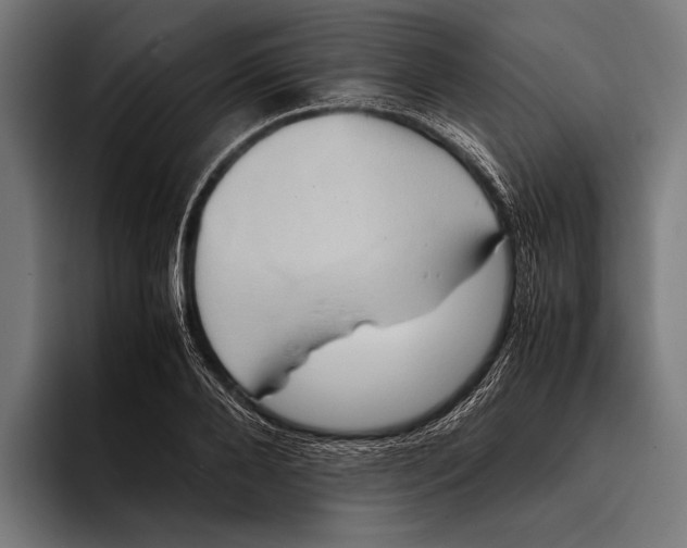 X0000093370888200711081522
