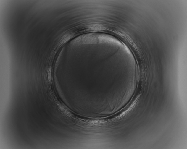 X0000093370889200711081522