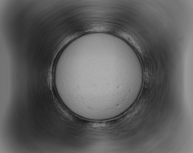 X0000093370890200711081522