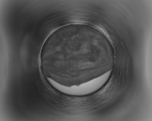 X0000093370891200711081522