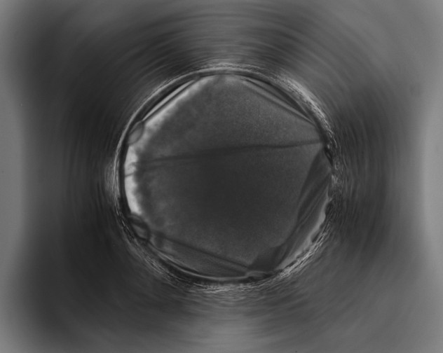 X0000093370892200711081522