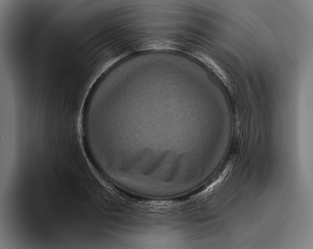 X0000093370893200711081522