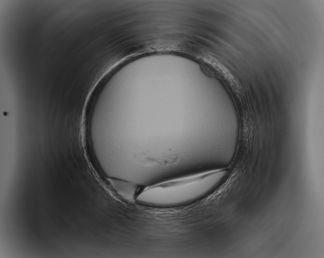 X0000093370894200711081522
