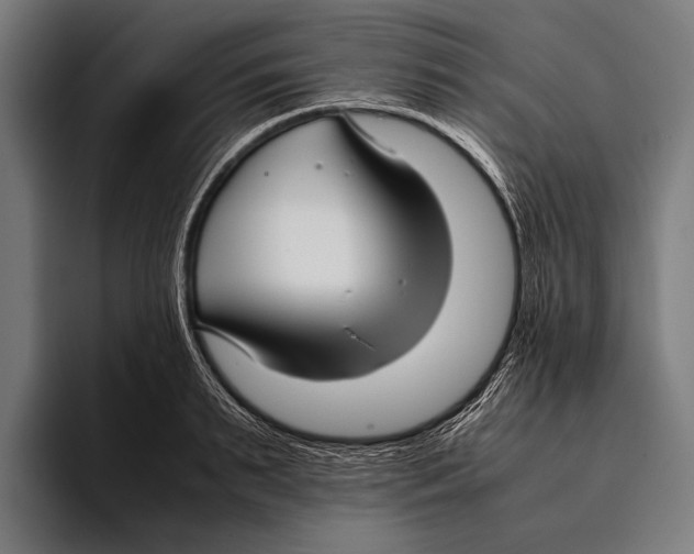 X0000093370895200711081522