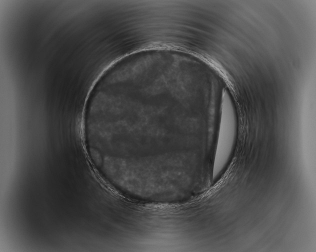 X0000093370896200711081522