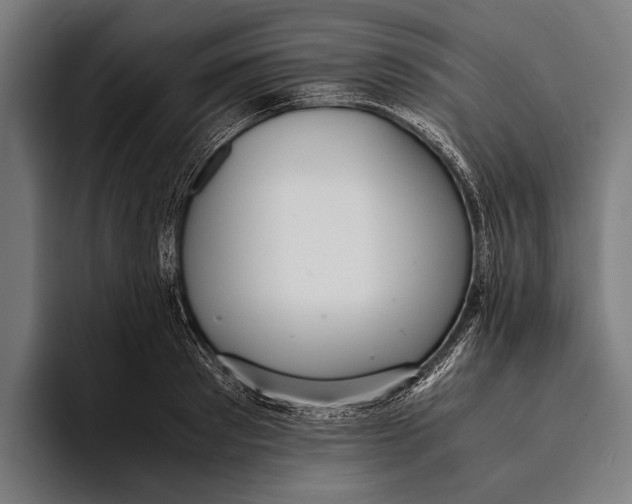 X0000093370897200711081522