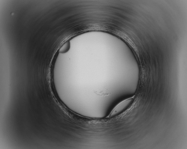 X0000093370898200711081522