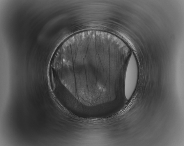 X0000093370899200711081522