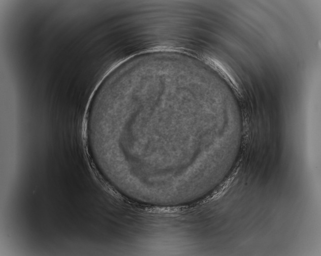 X0000093370900200711081522