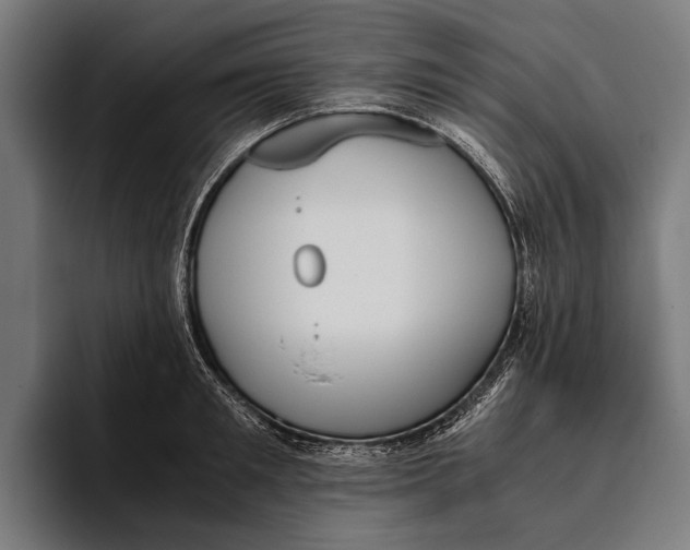 X0000093370901200711081522