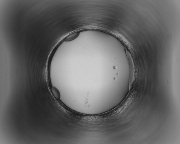 X0000093370902200711081522