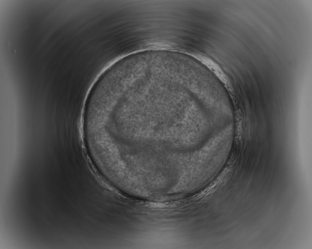 X0000093370904200711081522