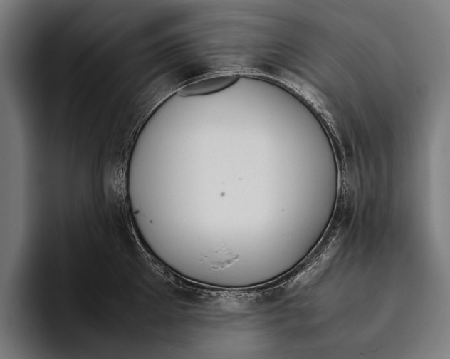 X0000093370905200711081522