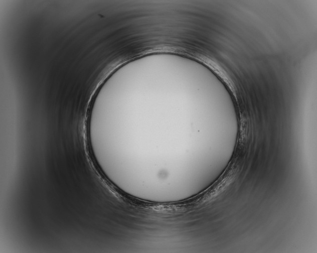 X0000093370906200711081522