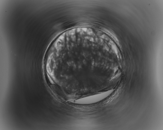 X0000093370907200711081522