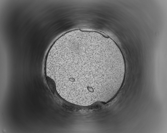 X0000093370912200711081522