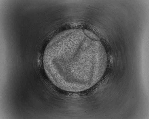 X0000093370914200711081521