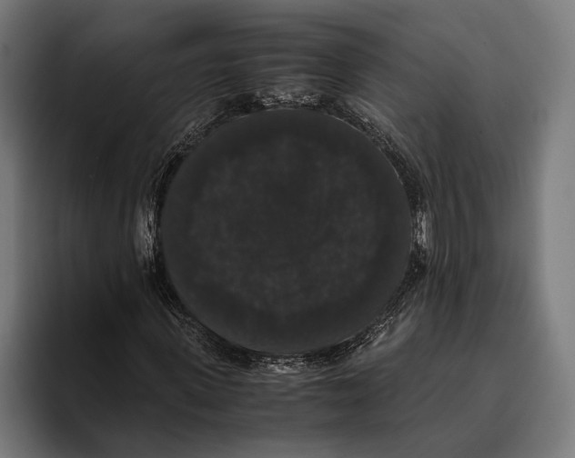 X0000093370915200711081521