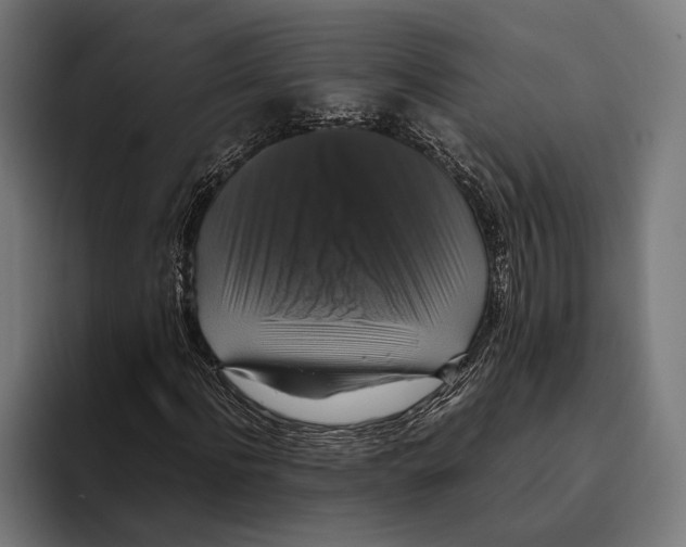 X0000093370916200711081521