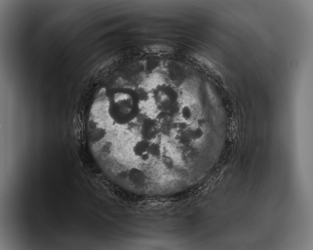X0000093370917200711081522