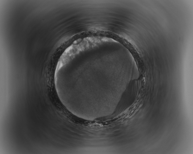 X0000093370919200711081522