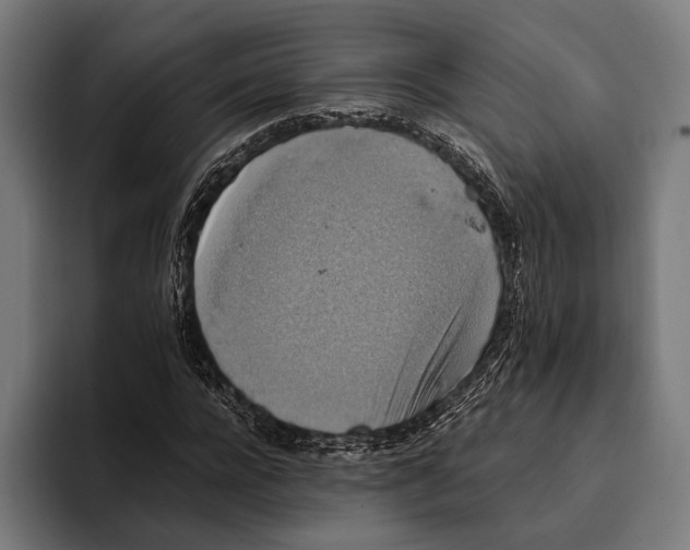 X0000093370920200711081522