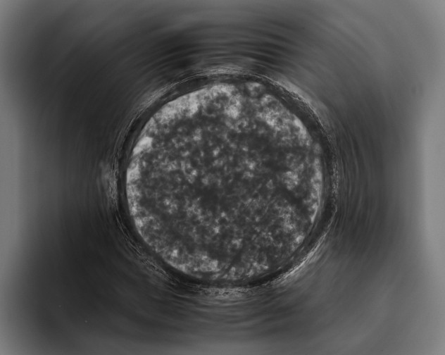 X0000093370921200711081522