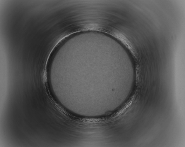 X0000093370924200711081522