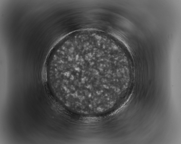 X0000093370925200711081522