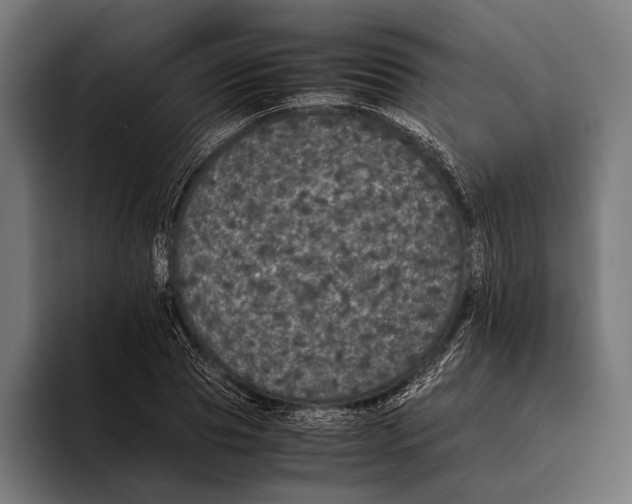 X0000093370929200711081522