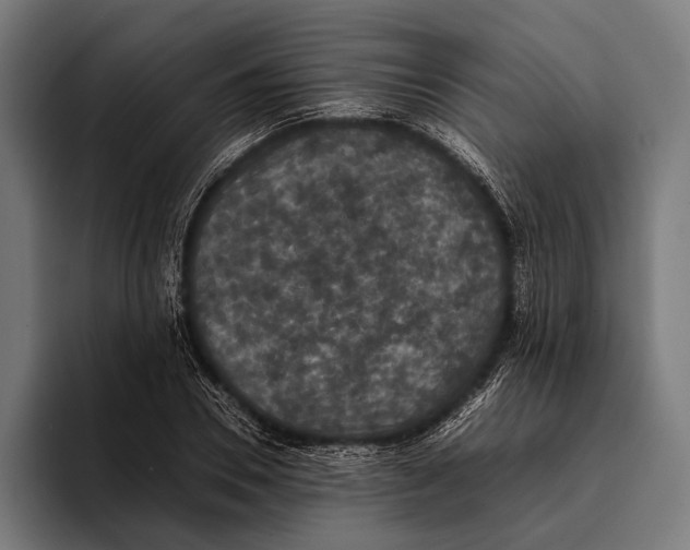 X0000093370930200711081522