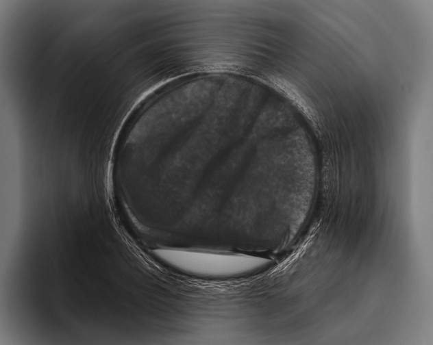 X0000093370932200711081522