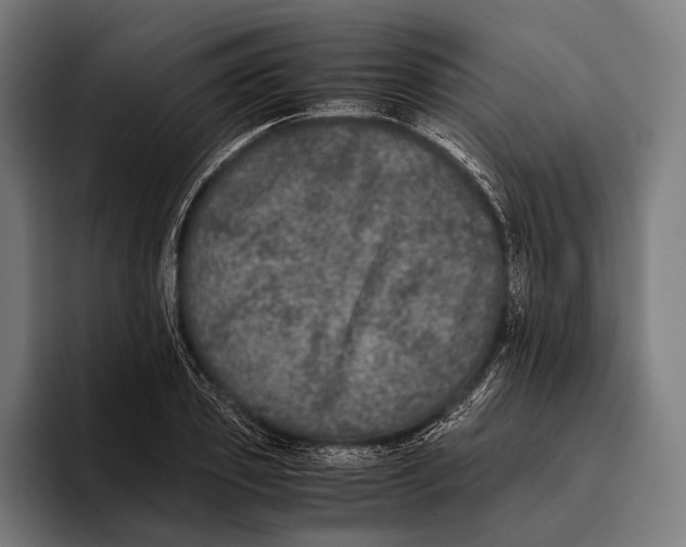 X0000093370933200711081522