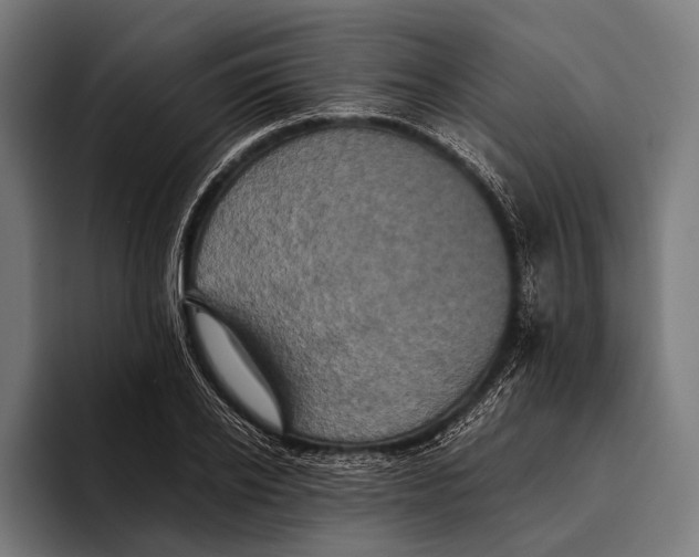 X0000093370934200711081522