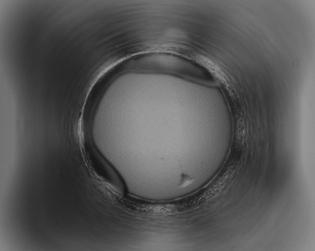 X0000093370936200711081522