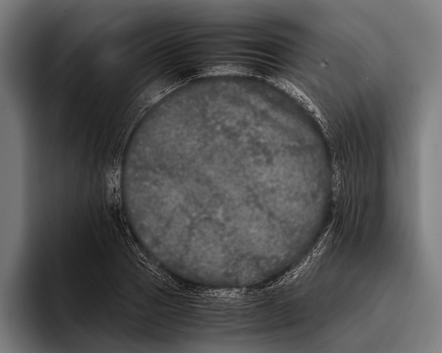 X0000093370937200711081522