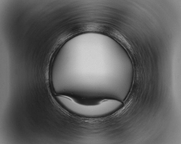 X0000093370938200711081522