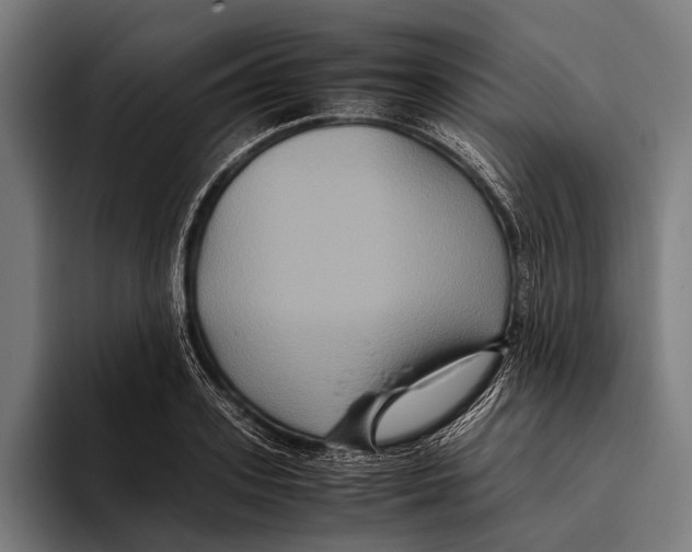X0000093370939200711081522