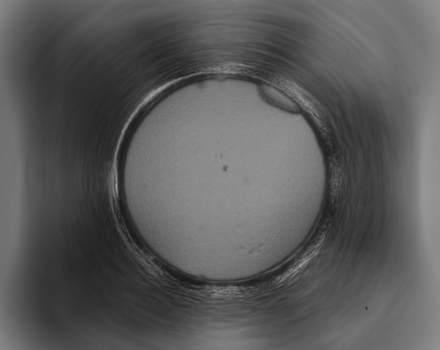 X0000093370940200711081522