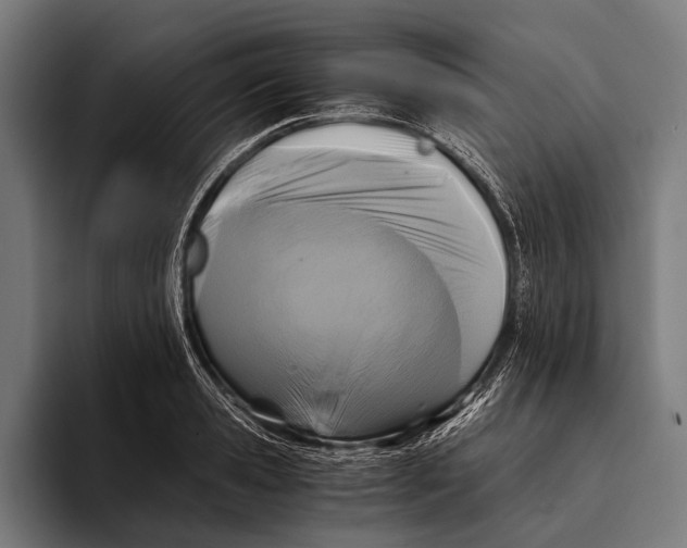 X0000093370941200711081522