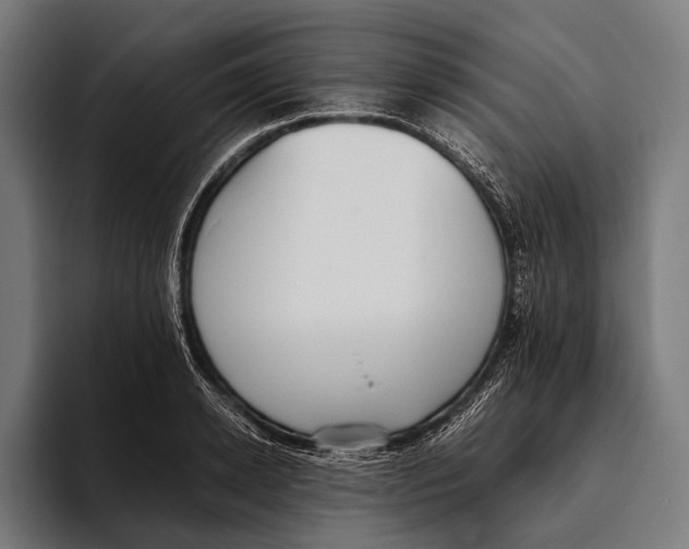 X0000093370942200711081522