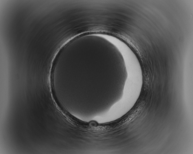 X0000093370943200711081522