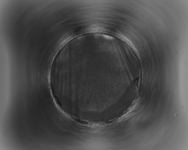 X0000093370946200711081522