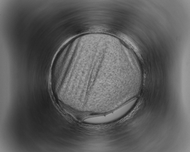 X0000093370948200711081522