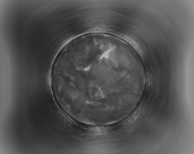 X0000093370950200711081522