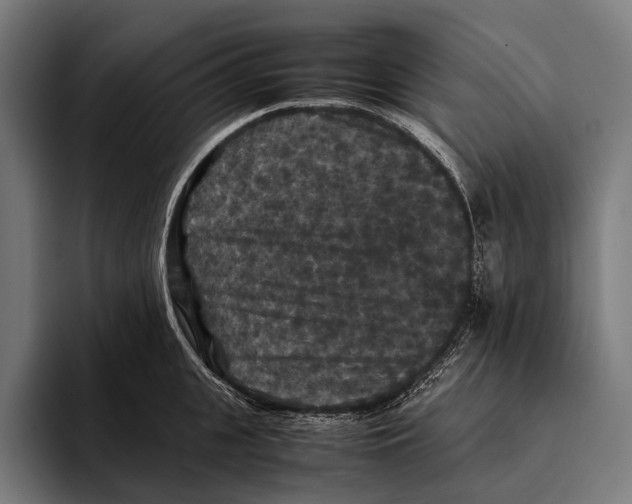 X0000093370951200711081522