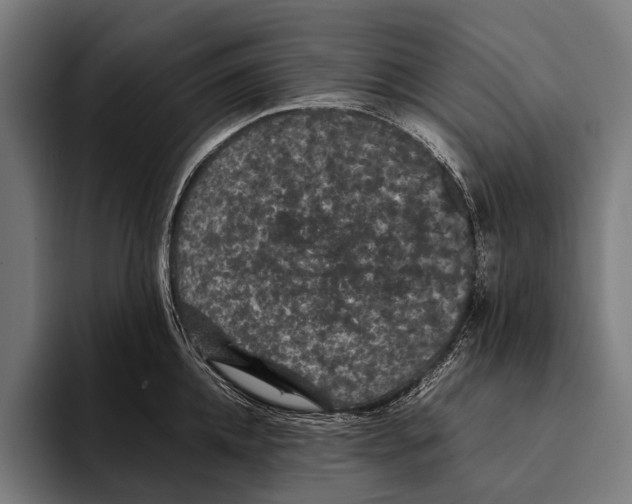 X0000093370952200711081522