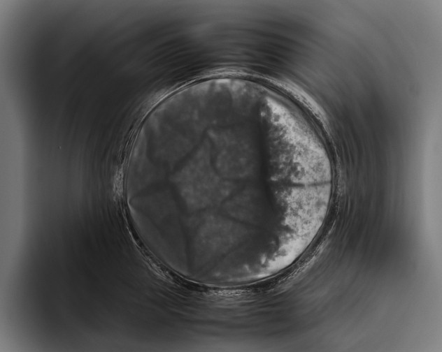 X0000093370953200711081522