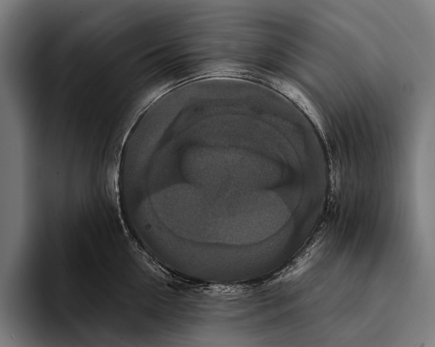 X0000093370954200711081522