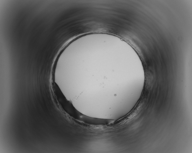 X0000093370956200711081522